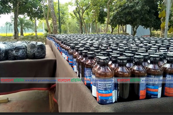 বিরামপুর সীমান্তে মাটির নিচে
২২৬৫ বোতল ফেনসিডিল, ১৫ কেজি গাঁজা 