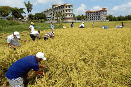 কৃষকের পাশে সোনার বাংলা কলেজের শিক্ষক-শিক্ষার্থীরা

