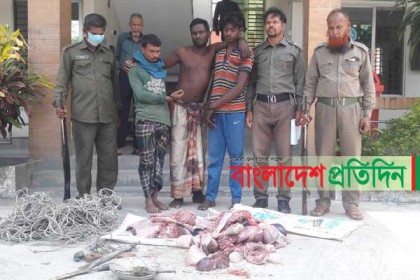 সুন্দরবনে অভিযানে ৩ হরিণ শিকারি গ্রেফতার, ২২ চিত্রল হরিণ অবমুক্ত