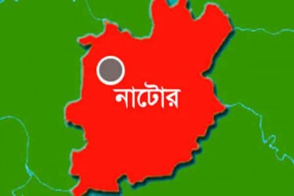 নাটোরে পূর্ব শত্রুতার জেরে প্রতিপক্ষের হামলায় আহত ৮