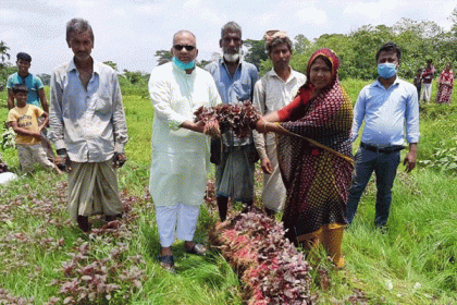 চট্টগ্রামে এক উদ্যোগেই কৃষকদের মুখে হাসি    

