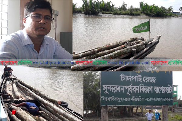 সুন্দরবনের কর্তন নিষিদ্ধ গাছ কেটে বন বিভাগের ট্রলারেই পাচারের অভিযোগ