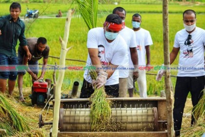 পীরগঞ্জে কৃষকের ধান কেটে দিল ছাত্রলীগ