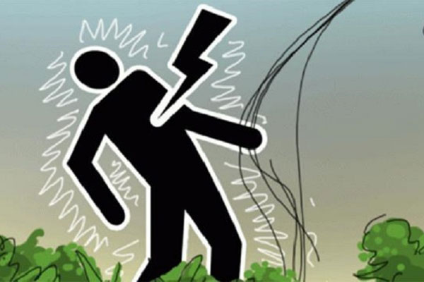 ধুনটে বিদ্যুৎস্পৃৃষ্ট হয়ে পল্লী
বিদ্যুতের লাইনম্যান মৃত্যু শয্যায় 

