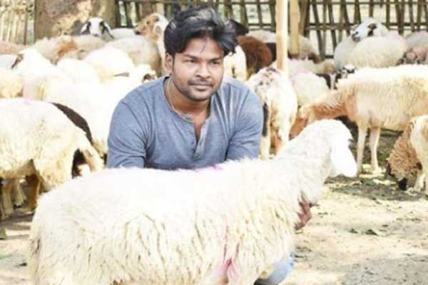 গাড়ল পালনে স্বাবলম্বী চাঁপাইনবাবগঞ্জের মাসুদ রানা