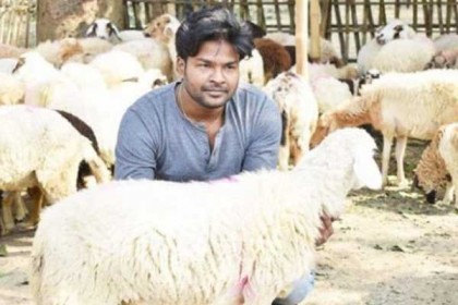 গাড়ল পালনে স্বাবলম্বী চাঁপাইনবাবগঞ্জের মাসুদ রানা