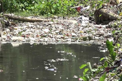 ডেঙ্গু আতঙ্কে লালমনিরহাট পৌরবাসী, উদ্যোগ নেই পৌর কর্তৃপক্ষের 