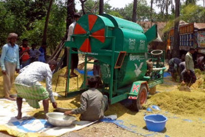 বগুড়ায় ২৫০ টাকায় বিঘা জমির ধান মাড়াই