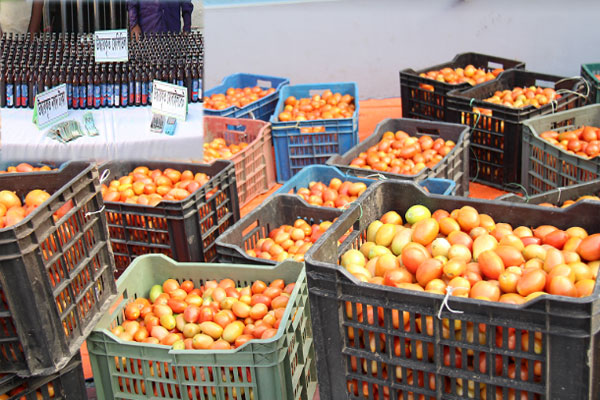 টমেটো বোঝাই পিকআপে ফেনসিডিল, আটক ২