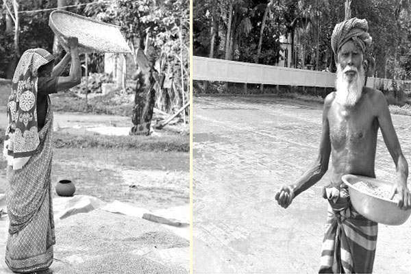 বোরো উঠছে গোলায়, আউশ আবাদে ব্যস্ত কৃষক