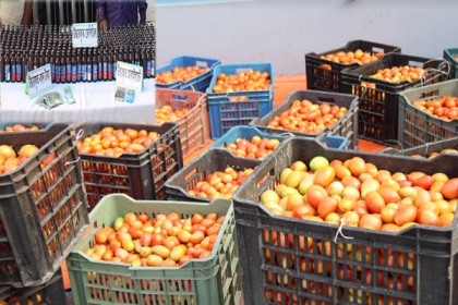 টমেটো বোঝাই পিকআপে ফেনসিডিল, আটক ২