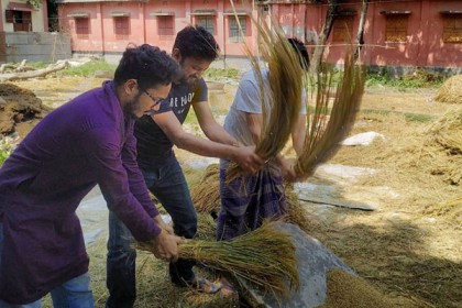 কুড়িগ্রামে ঠেলাগাড়ি চালক দম্পতির ধান কেটে দিল ছাত্রলীগ
