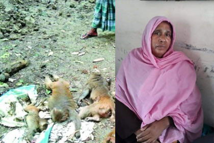 মাদারীপুরে বিষ মিশিয়ে বানর হত্যার অভিযোগে নারী গ্রেফতার