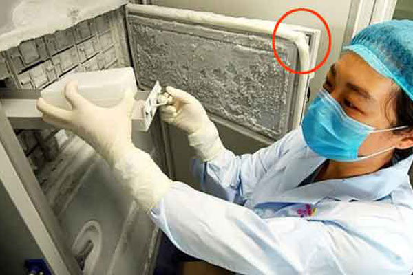 এবার মোবাইল ডাটায় ধরা পড়ল চীনের সেই ল্যাবের চাঞ্চল্যকর তথ্য