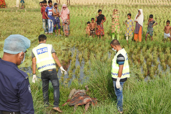 নন্দীগ্রামে খাল থেকে অজ্ঞাত ব্যক্তির মরদেহ উদ্ধার