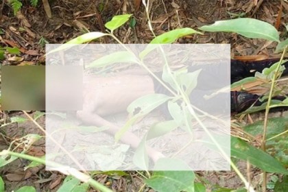 চৌগাছায় চোখ উপড়ে শিক্ষার্থীকে হত্যা