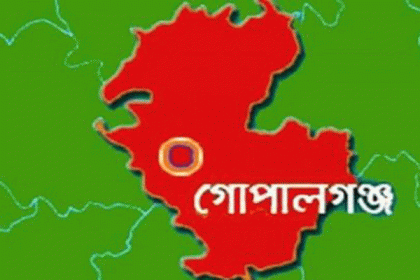 কোটালীপাড়ায় পৃথক ঘটনায় দুই শিশুর মৃত্যু 
