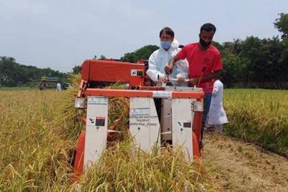 বোয়ালমারীতে ধান কাটার উদ্বোধন করলেন এমপি মনজুর