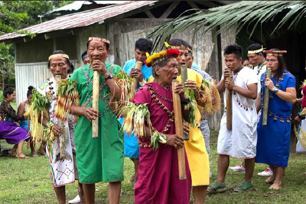 করোনায় মৃত্যুর মিছিল, আমাজনের জঙ্গলে এই প্রাচীন উপজাতি বিলুপ্তির পথে!