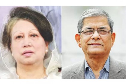 অবশেষে খালেদা জিয়ার সাক্ষাৎ পেলেন মির্জা ফখরুল