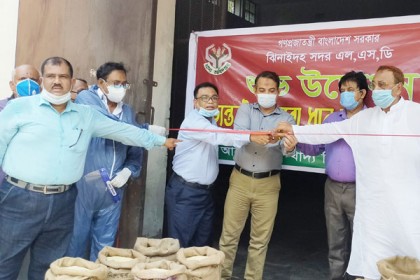 ঝিনাইদহে অভ্যন্তরীণ বোরো ধান ও চাল সংগ্রহ অভিযান শুরু