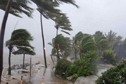 ঘূর্ণিঝড় 'আম্ফান': কর্তন উপযোগী ফসল সংগ্রহ করার নির্দেশনা কৃষি বিভাগের