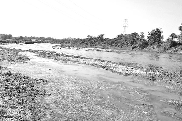 দূষণ-দখলে প্রাণহীন গোমতী
