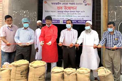 নাটোরে ধান-চাল সংগ্রহ অভিযানের উদ্বোধন