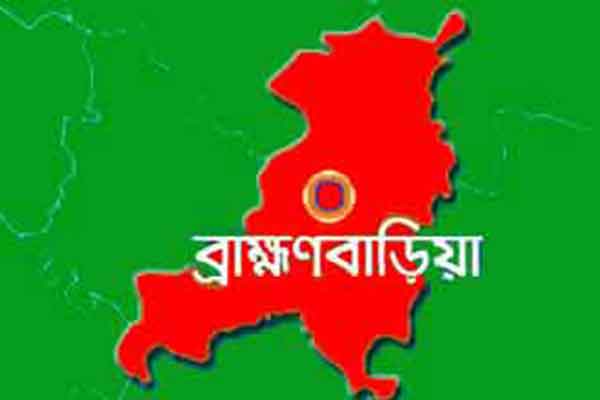 আম পাড়তে গিয়ে প্রাণ গেল ছাত্রদল নেতার