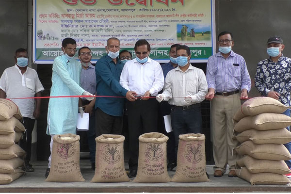 ধানের ন্যায্য মূল্যে কৃষকের মুখে হাসি ফুটেছে: মির্জা আজম