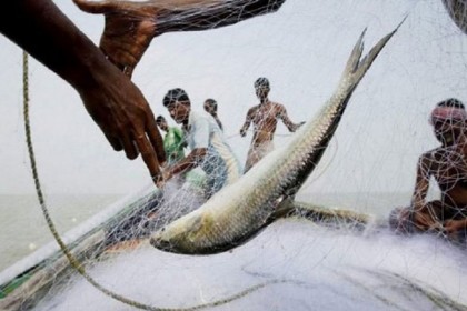 সমুদ্রে মৎস্য আহরণ আগামী ২৩ জুলাই পর্যন্ত নিষিদ্ধ