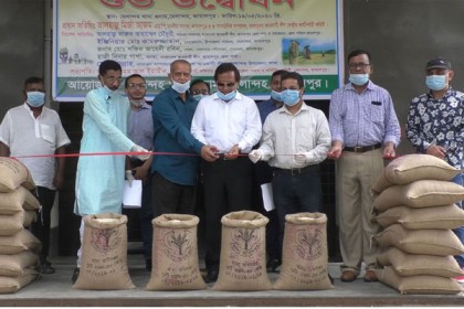 ধানের ন্যায্য মূল্যে কৃষকের মুখে হাসি ফুটেছে: মির্জা আজম