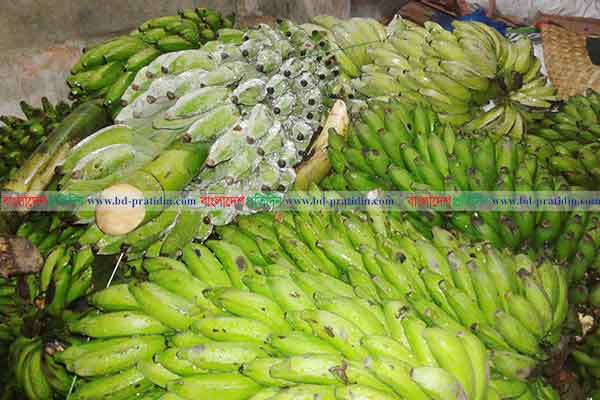 লাকসামে বিষাক্ত কেমিক্যালে পাকানো হচ্ছে কলা