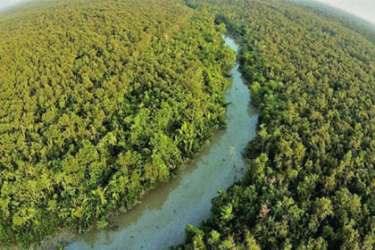 এবারও বুক পেতে দিচ্ছে সুন্দরবন
