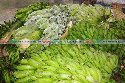 লাকসামে বিষাক্ত কেমিক্যালে পাকানো হচ্ছে কলা