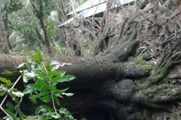 যশোরে মা-মেয়ের প্রাণ কেড়ে নিল আম্ফান