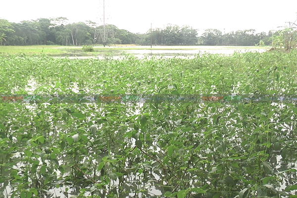 বরিশালে আম্ফানে ক্ষয়ক্ষতির পূর্ণাঙ্গ তালিকা করছে প্রশাসন