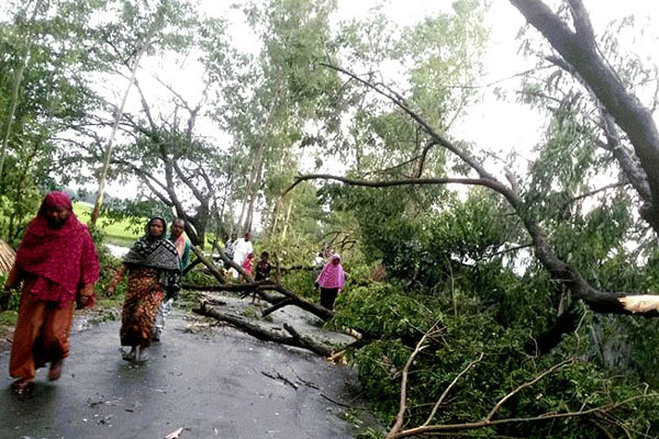 আম্ফানে সিরাজগঞ্জে ফসলের ব্যাপক ক্ষতি