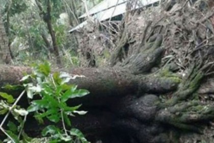 যশোরে মা-মেয়ের প্রাণ কেড়ে নিল আম্ফান