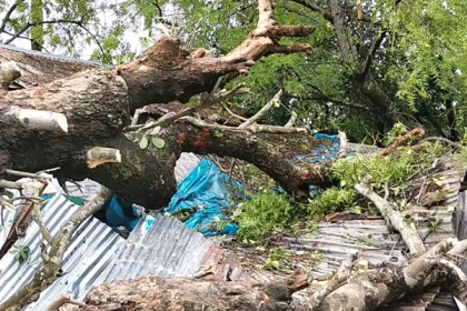 চুয়াডাঙ্গায় আম্ফানের তাণ্ডবে ব্যাপক ক্ষতির আশঙ্কা

 
