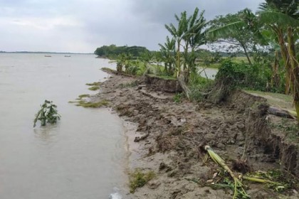 বরগুনায় আম্ফানের প্রভাবে ৪৫ কোটি টাকার ক্ষতির আশঙ্কা