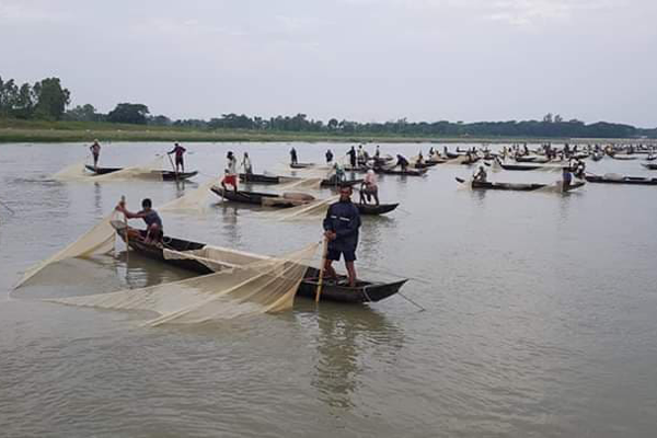 হালদায় ১২ বছরের মধ্যে রেকর্ড পরিমাণ ডিম সংগ্রহ


