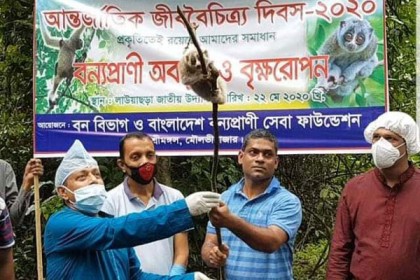 লাউয়াছড়া উদ্যানে বিভিন্ন প্রজাতির ছয় বন্যপ্রাণী অবমুক্ত