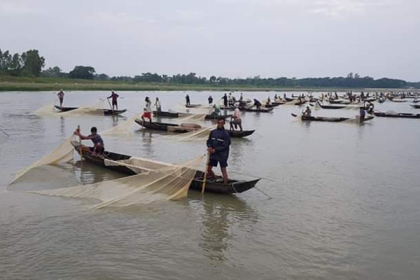 হালদায় ১২ বছরের মধ্যে রেকর্ড পরিমাণ ডিম সংগ্রহ


