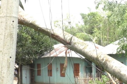 ঝিনাইদহে ৮০ ভাগ এলাকা এখনও বিদ্যুৎ বিচ্ছিন্ন
