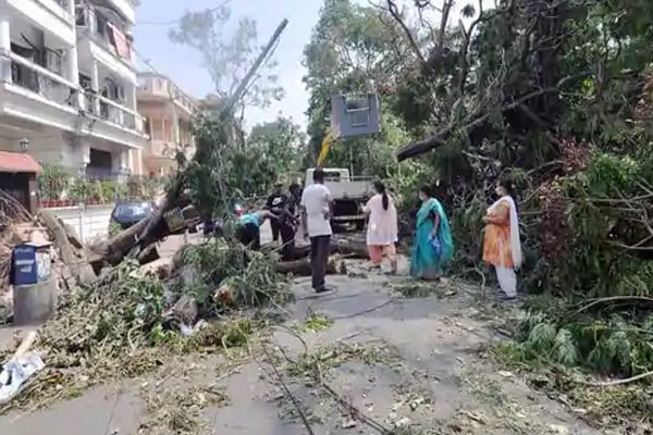 কলকাতাজুড়ে আম্ফানের ক্ষত, শহরে বিক্ষোভ
