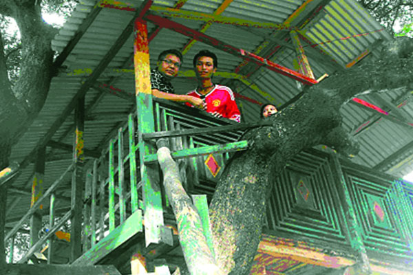 নাইক্ষ্যংছড়ির পাহাড়ে নান্দনিক গাছবাড়ি