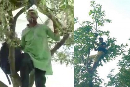অনলাইনে ক্লাস, নেটওয়ার্ক পেতে গাছের মগডালে শিক্ষক-শিক্ষার্থী!