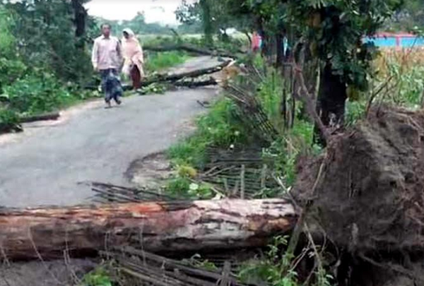 কালবৈশাখী ঝড়ে লন্ডভন্ড পীরগঞ্জের ৬ গ্রাম   