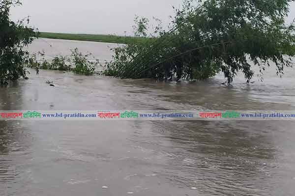 তিস্তার বাঁধ ভেঙে দুই গ্রাম প্লাবিত, একজনের মৃত্যু